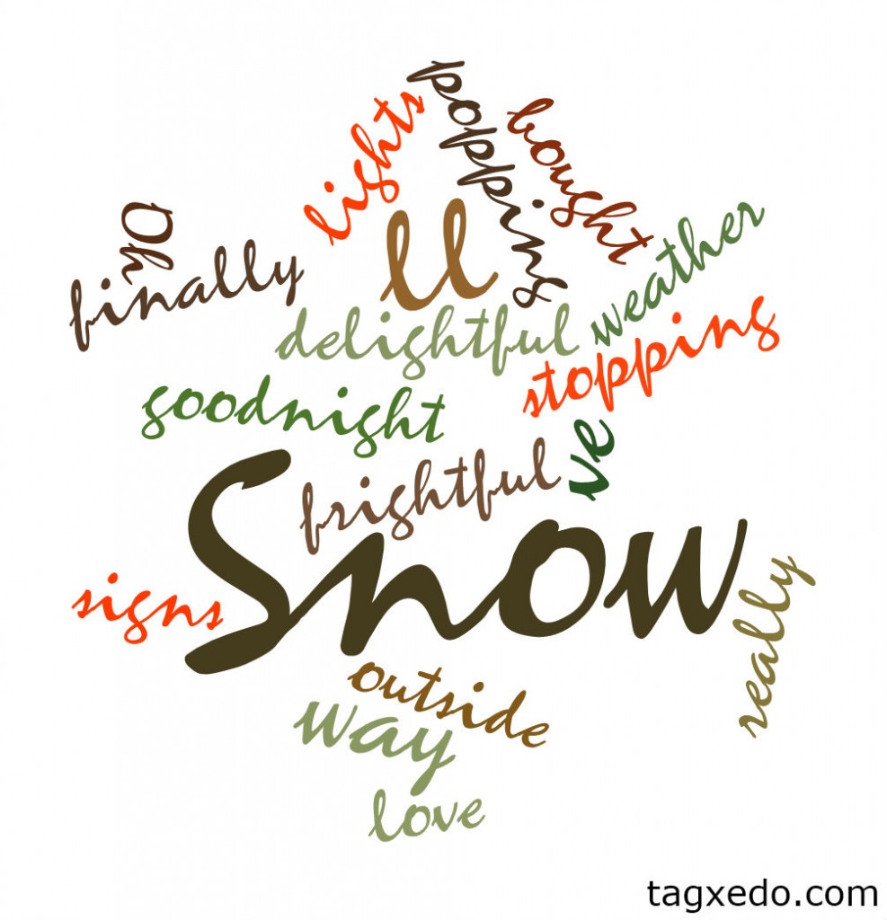 Snowflake Wordcloud by Tagxedo